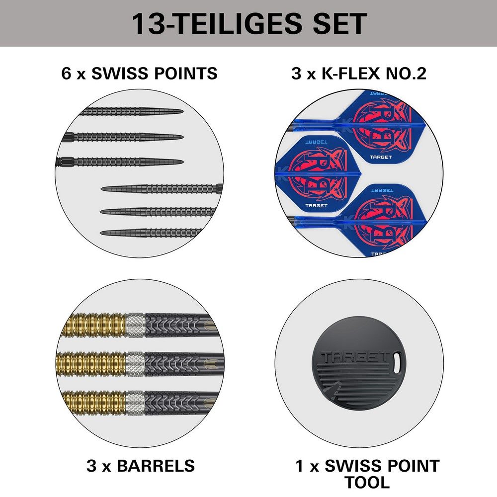 Target Raymond van Barneveld G6 Steeldarts