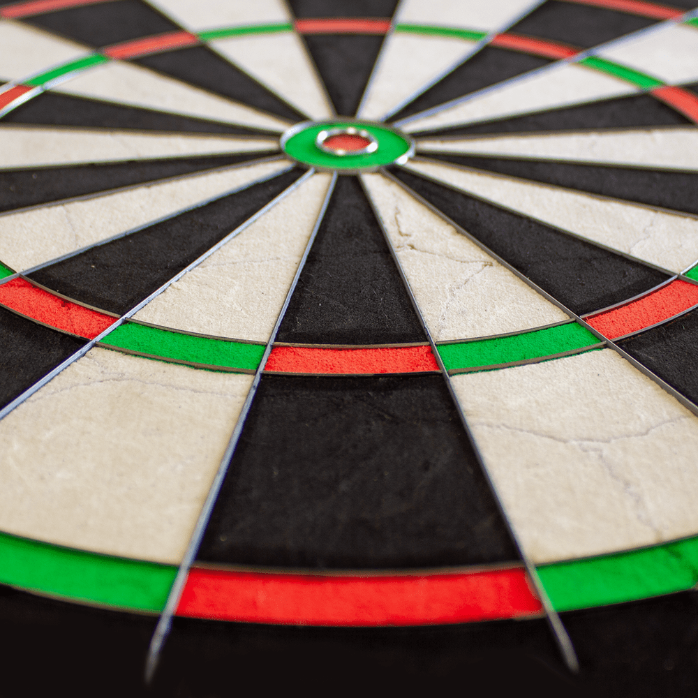 WMNPQ_Winmau_NPQ_Dartboard_4
