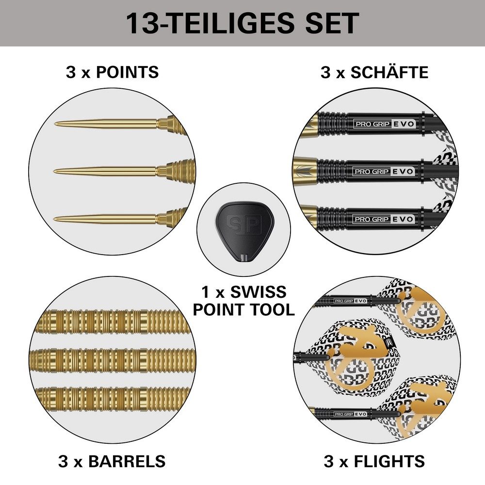 Target Bolide Envy 01 Steeldarts