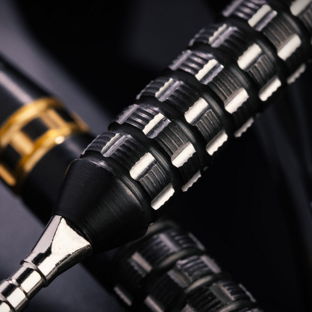 Winmau Gian van Veen TS Pro SP Steeldarts