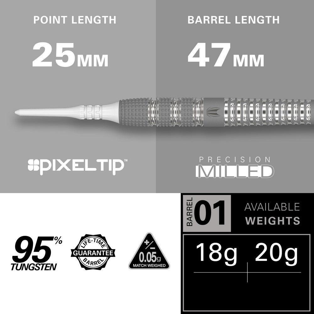 Target Raymond van Barneveld 25 Years Edition Softdarts
