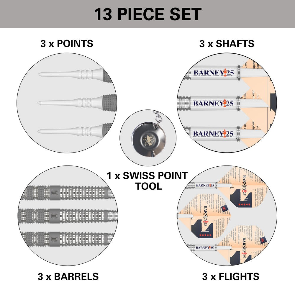 Target Raymond van Barneveld 25 Years Edition Softdarts