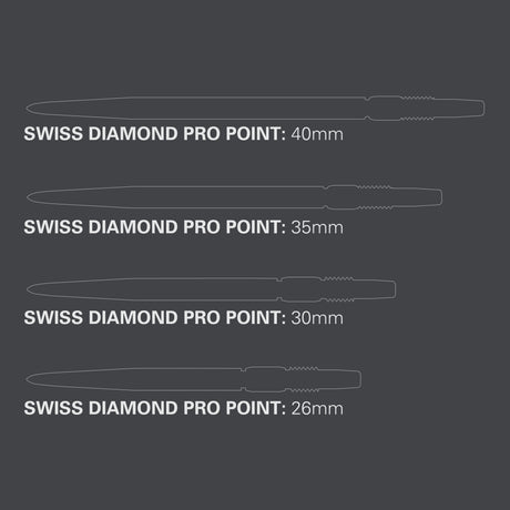 Target Swiss Diamond Pro silber
