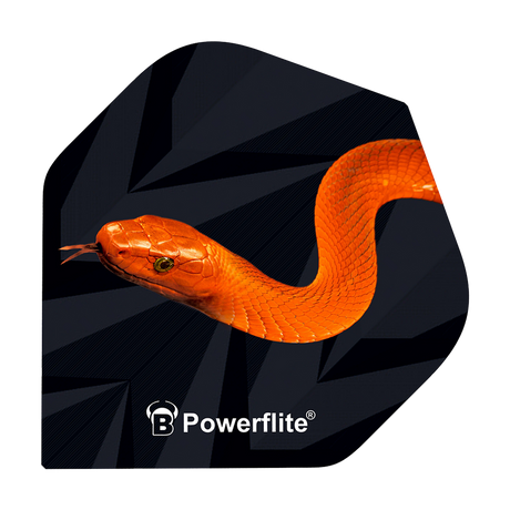 BL50702_Bulls_Powerflite_Mamba_No2_Standard_Flights_1