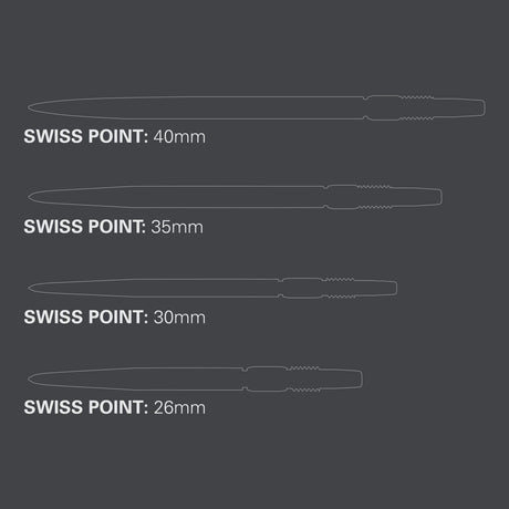 Target Swiss Point Silber
