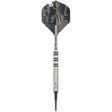 Chris Dobey Softdarts
