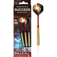 bulls success steeldarts