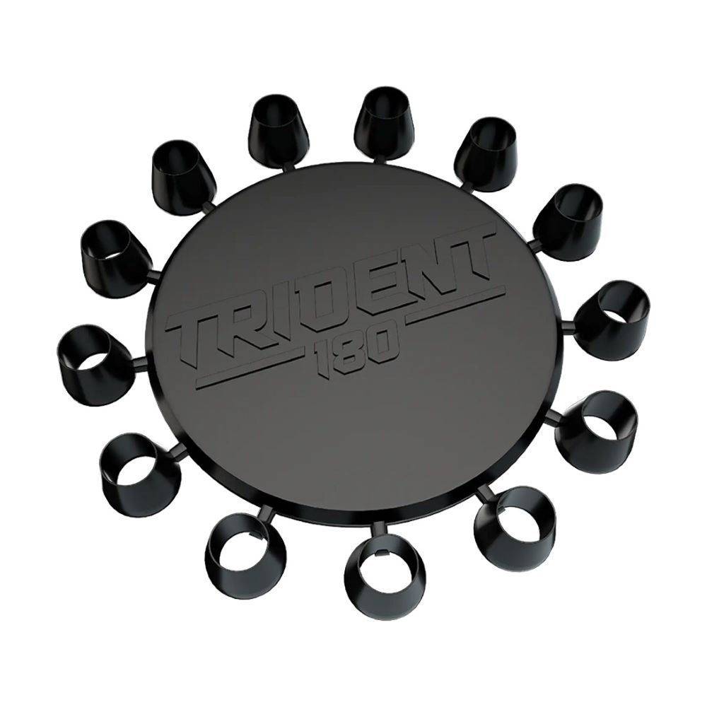 Winmau Trident 180