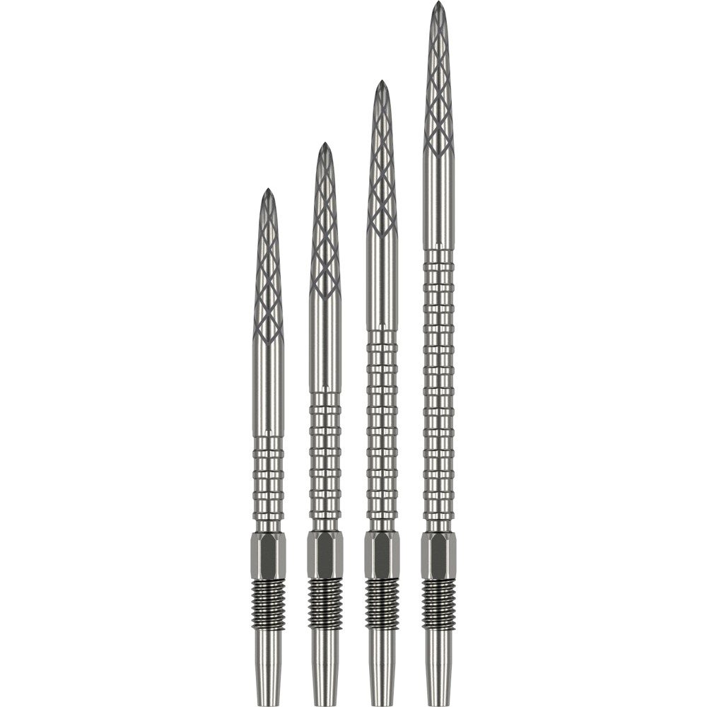 Target DS Swiss Point Silber