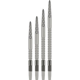Target DS Swiss Point Silber