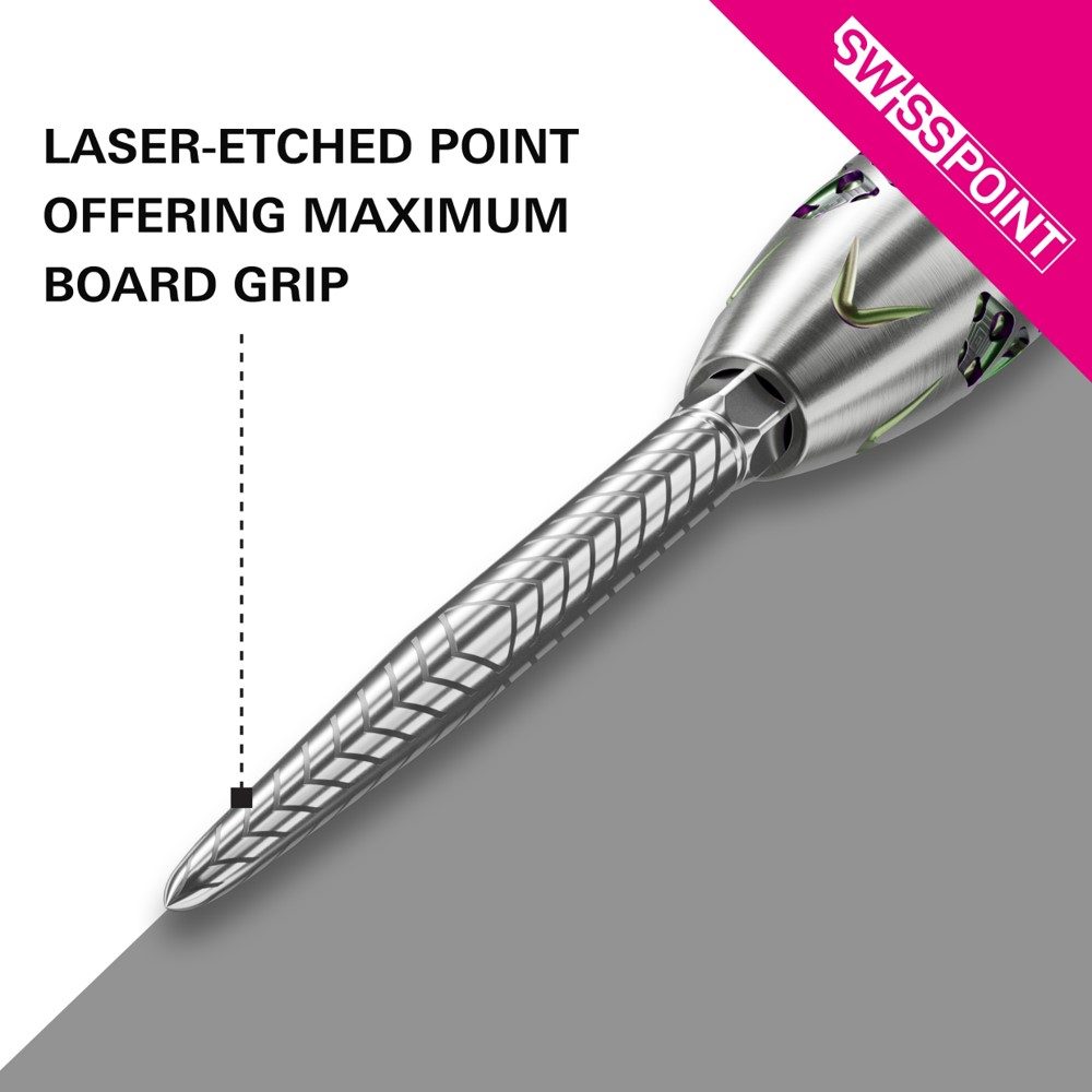 Target Swiss RVE Points - Silber