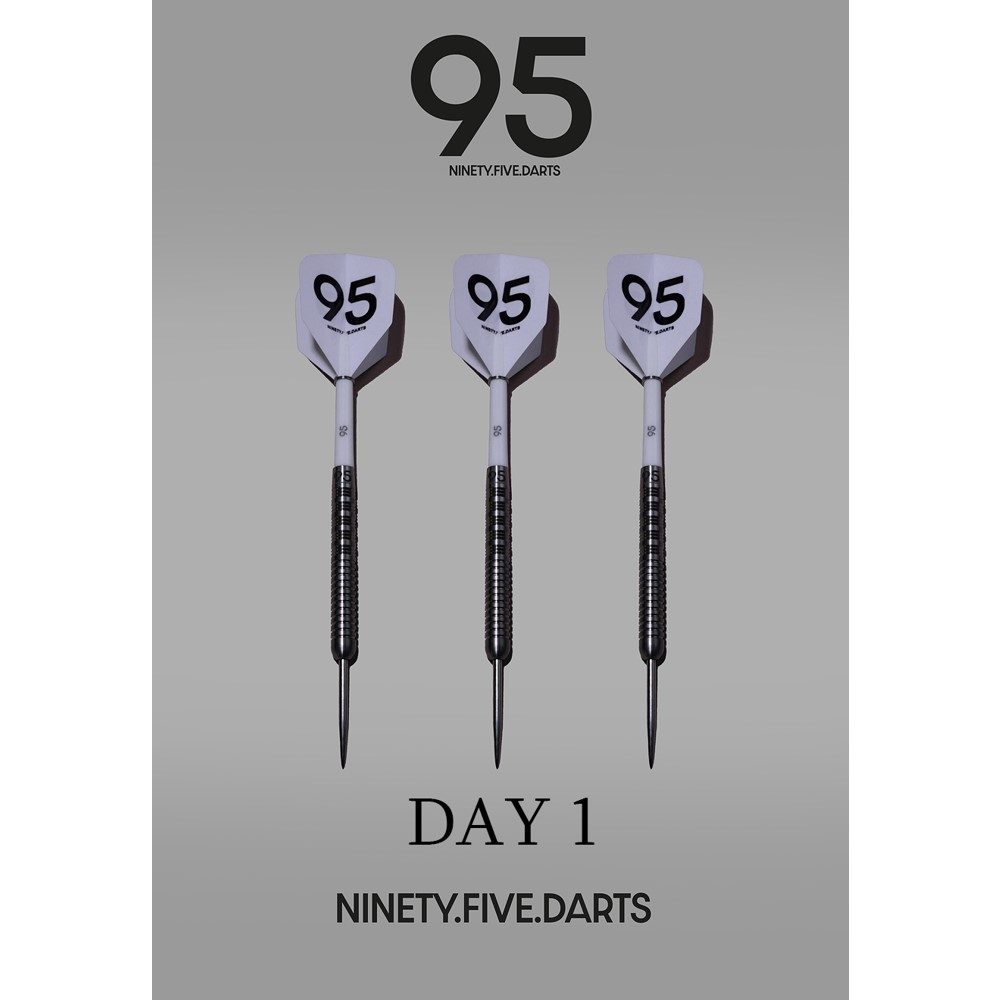 NinetyFive Darts First Day 23g