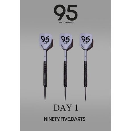 NinetyFive Darts First Day 23g