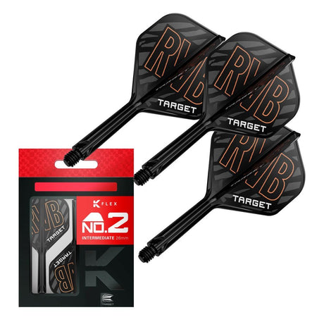 Target Raymond van Barneveld K-Flex