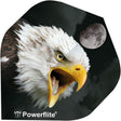 Bulls Powerflite Adler