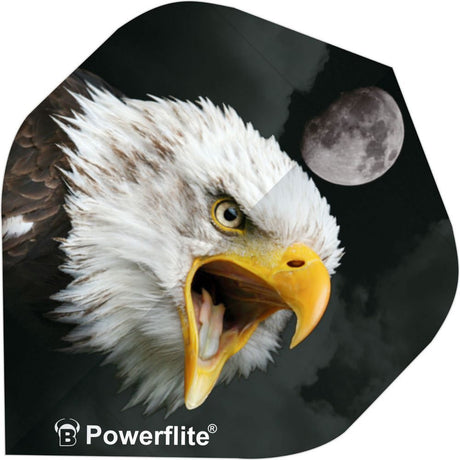 Bulls Powerflite Adler