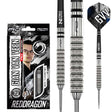 Red Dragon Gian van Veen Steeldarts