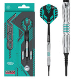 Bull´s Veco V1 Softdarts