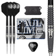 Target Paul Lim Steeldarts G9