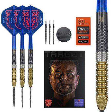 Target Raymond van Barneveld G6 Steeldarts