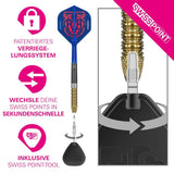 Target Raymond van Barneveld G6 Steeldarts