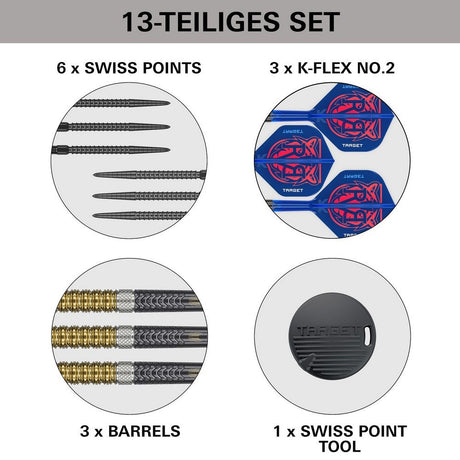 Target Raymond van Barneveld G6 Steeldarts