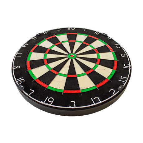 WMNPQ_Winmau_NPQ_Dartboard_2