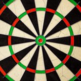 WMNPQ_Winmau_NPQ_Dartboard_3