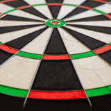 WMNPQ_Winmau_NPQ_Dartboard_4