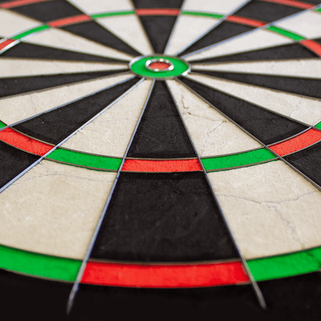 WMNPQ_Winmau_NPQ_Dartboard_4