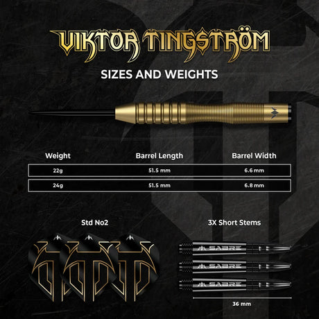 Mission Viktor Tingström Steeldarts