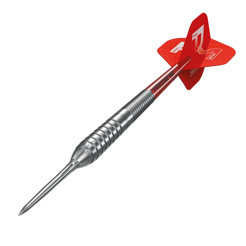 Precise180 Paul Meyer Steeldarts