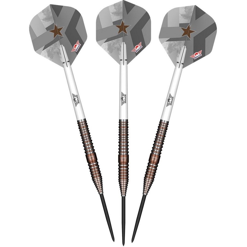 Bulls Max Hopp E5 Steeldarts
