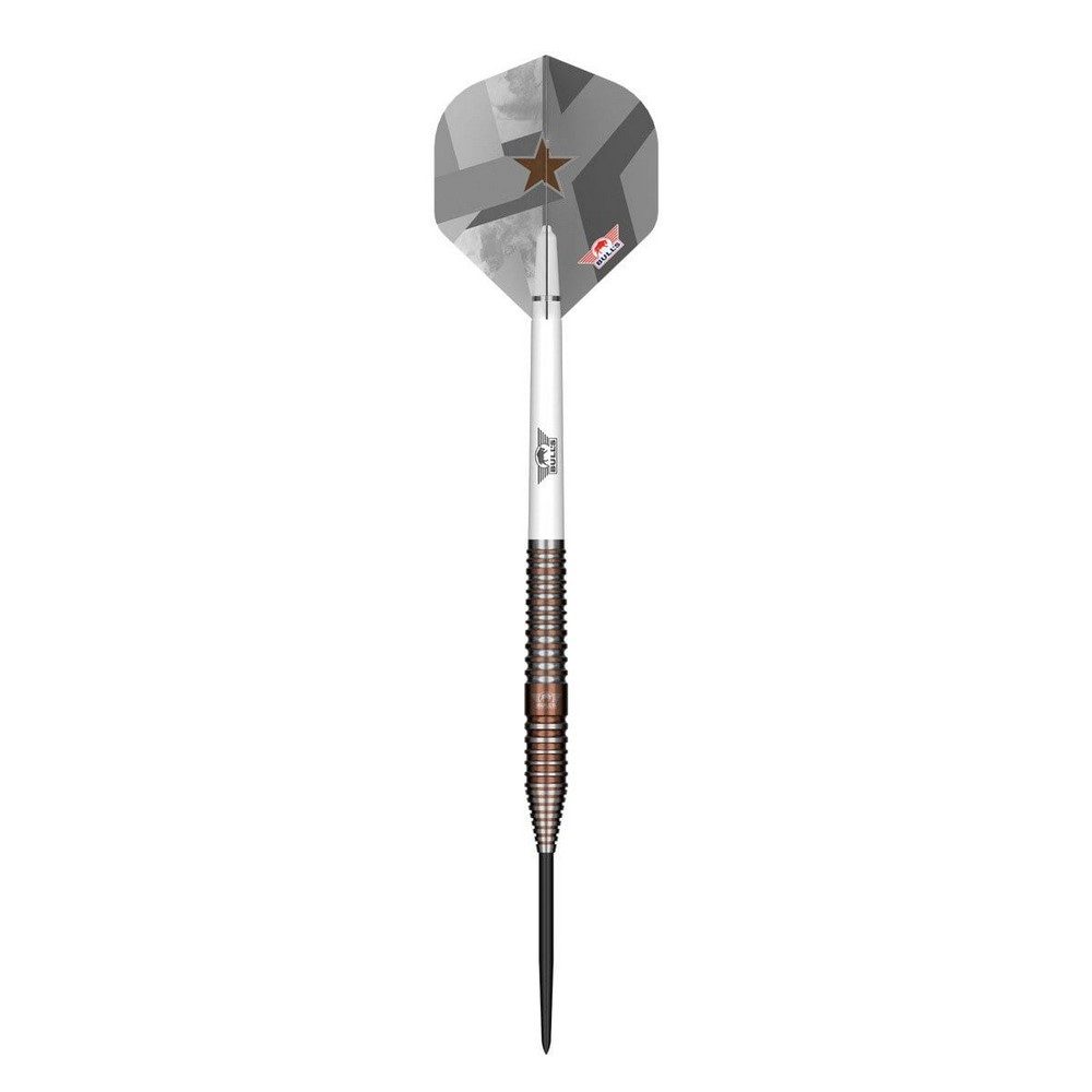 Bulls Max Hopp E5 Steeldarts