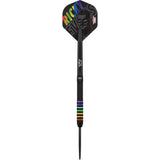 Ricky Evans Steeldarts 95%