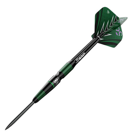 Bulls Brian Raman G2 Steeldarts