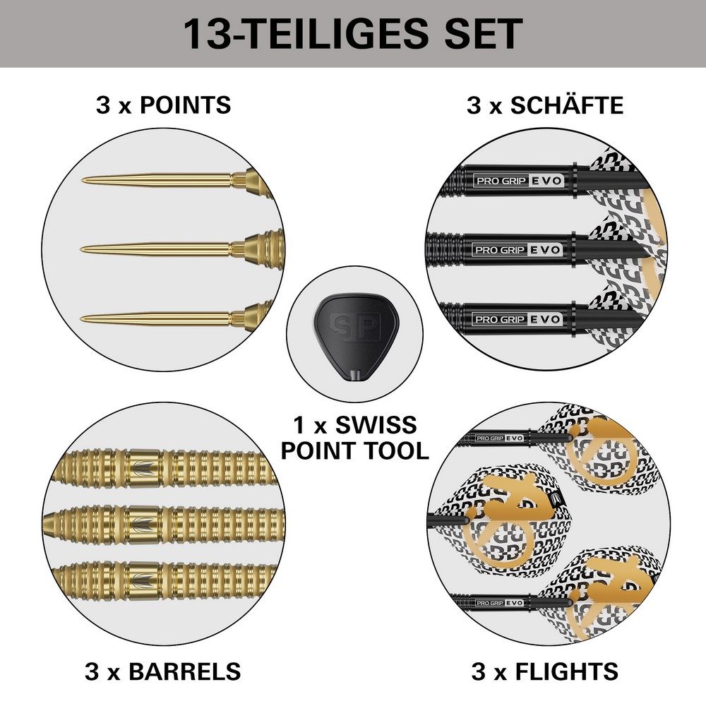 Target Bolide Envy 03 Steeldarts