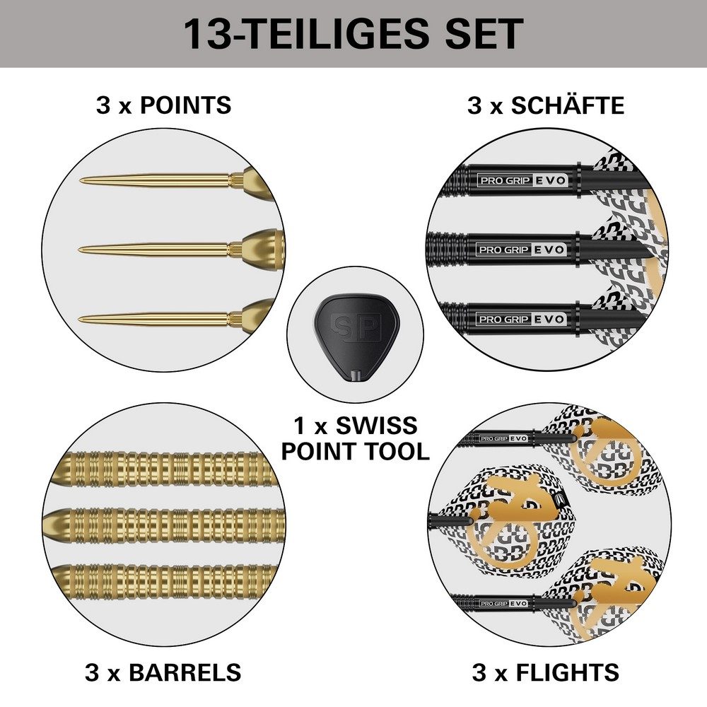 Target Bolide Envy 04 Steeldarts