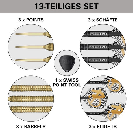 Target Bolide Envy 04 Steeldarts