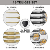Target Bolide Envy 05 Steeldarts
