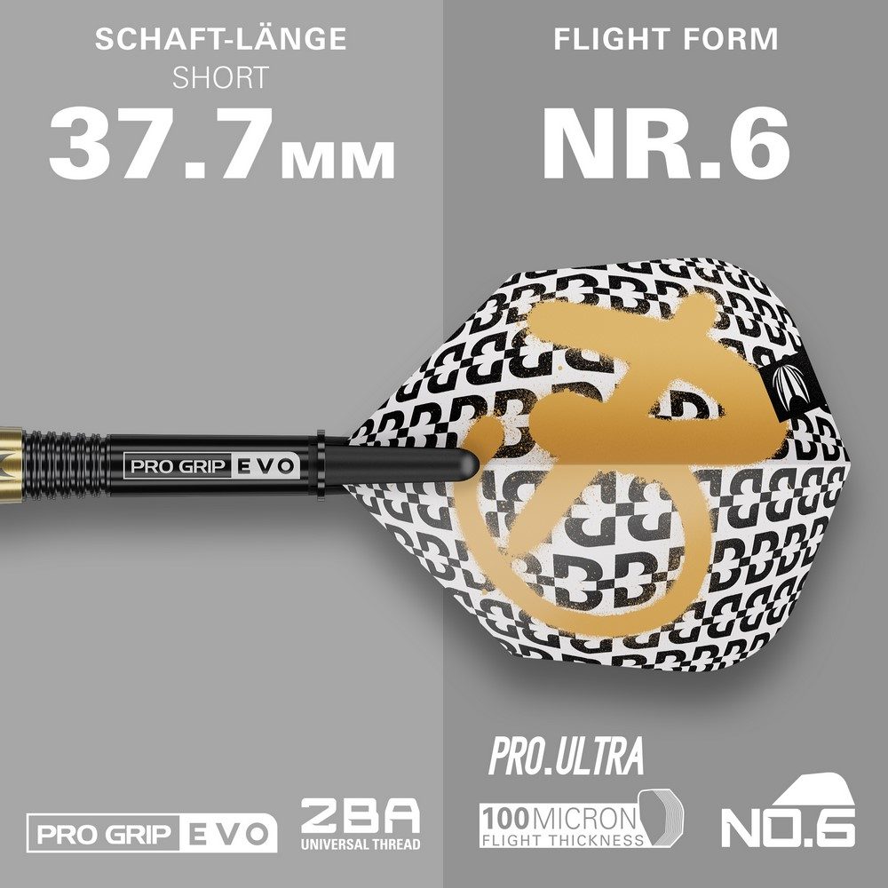 Target Bolide Envy 10 Softdarts