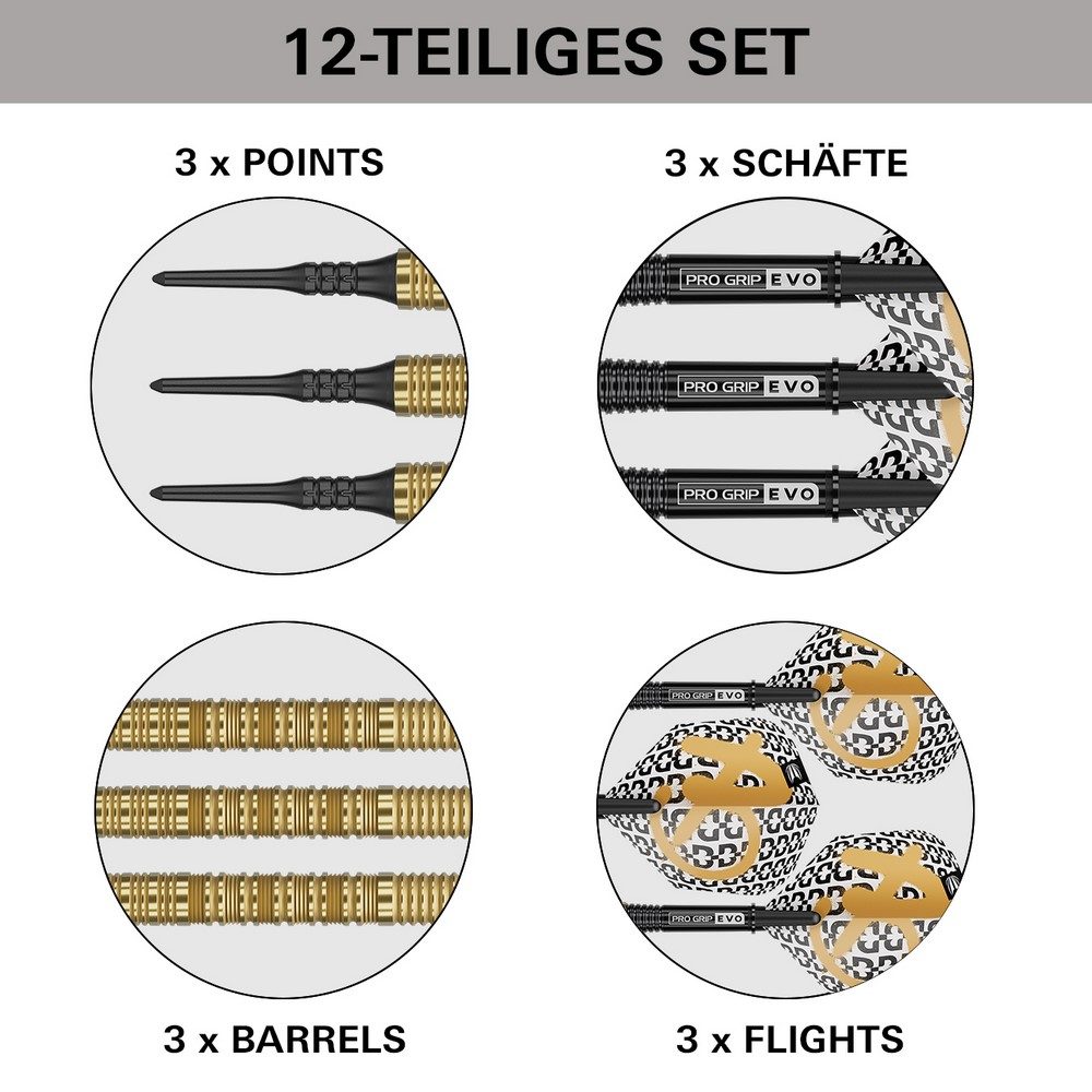 Target Bolide Envy 10 Softdarts