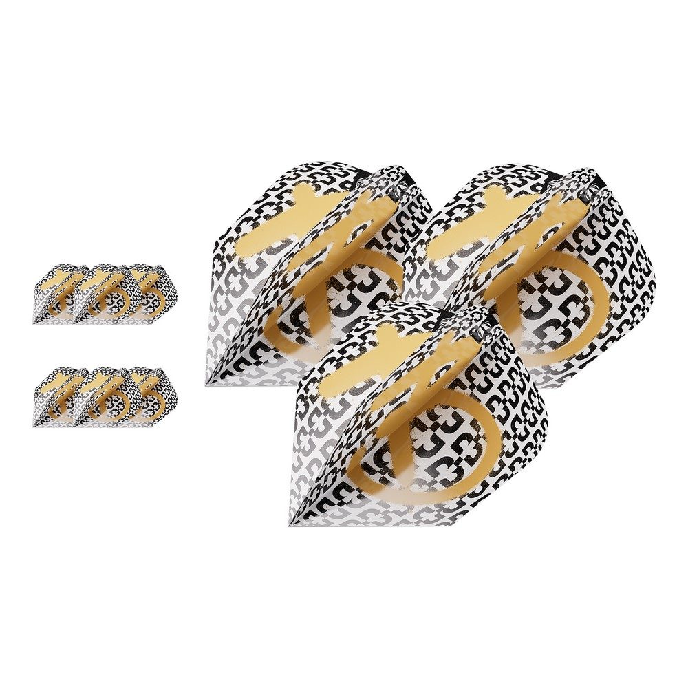 Bolide Envy No.6 Flights