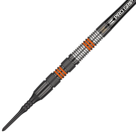 210311_Target_Raymond_Van_Barneveld_Black_Softdarts_2