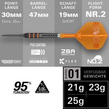Target Raymond van Barneveld 95K SP Steeldarts