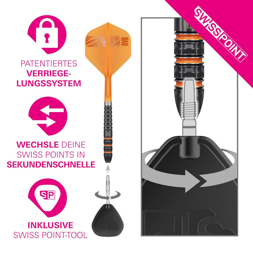 Target Raymond van Barneveld 95K SP Steeldarts