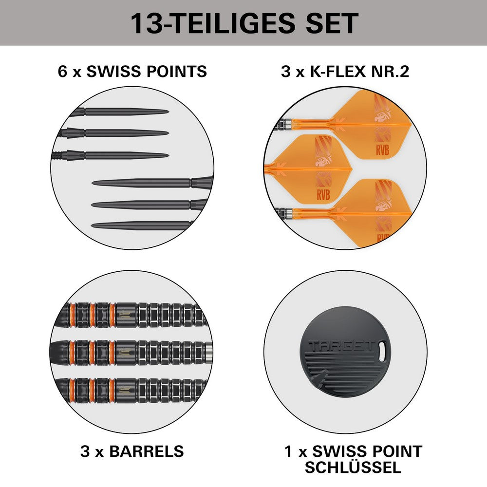 Target Raymond van Barneveld 95K SP Steeldarts