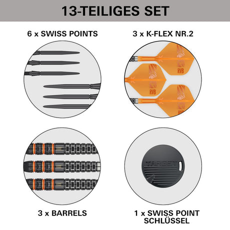 Target Raymond van Barneveld 95K SP Steeldarts