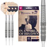 Target Raymond van Barneveld 25 Years Edition Softdarts