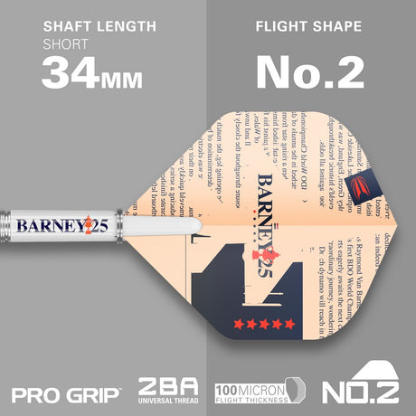 Target Raymond van Barneveld 25 Years Edition Softdarts